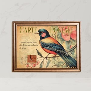 Vintage-style French postcard, Bird Postcard for framing, Hildebrandt's Starling Bird, Flowers, PRINTABLE Digital Download