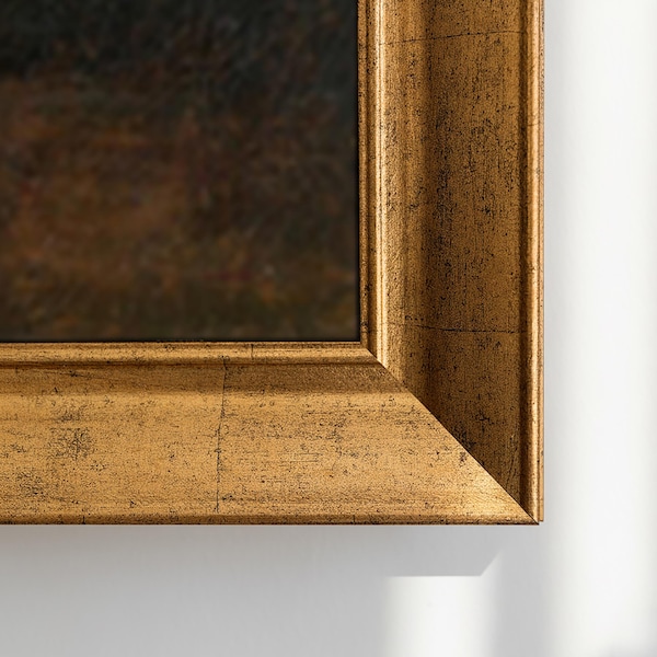 Handgemaakt tv-frame voor Samsung Frame TV, Custom Tv Frame, Tv Bezel Vintage Frame Home Decor, Compatibel met TCL