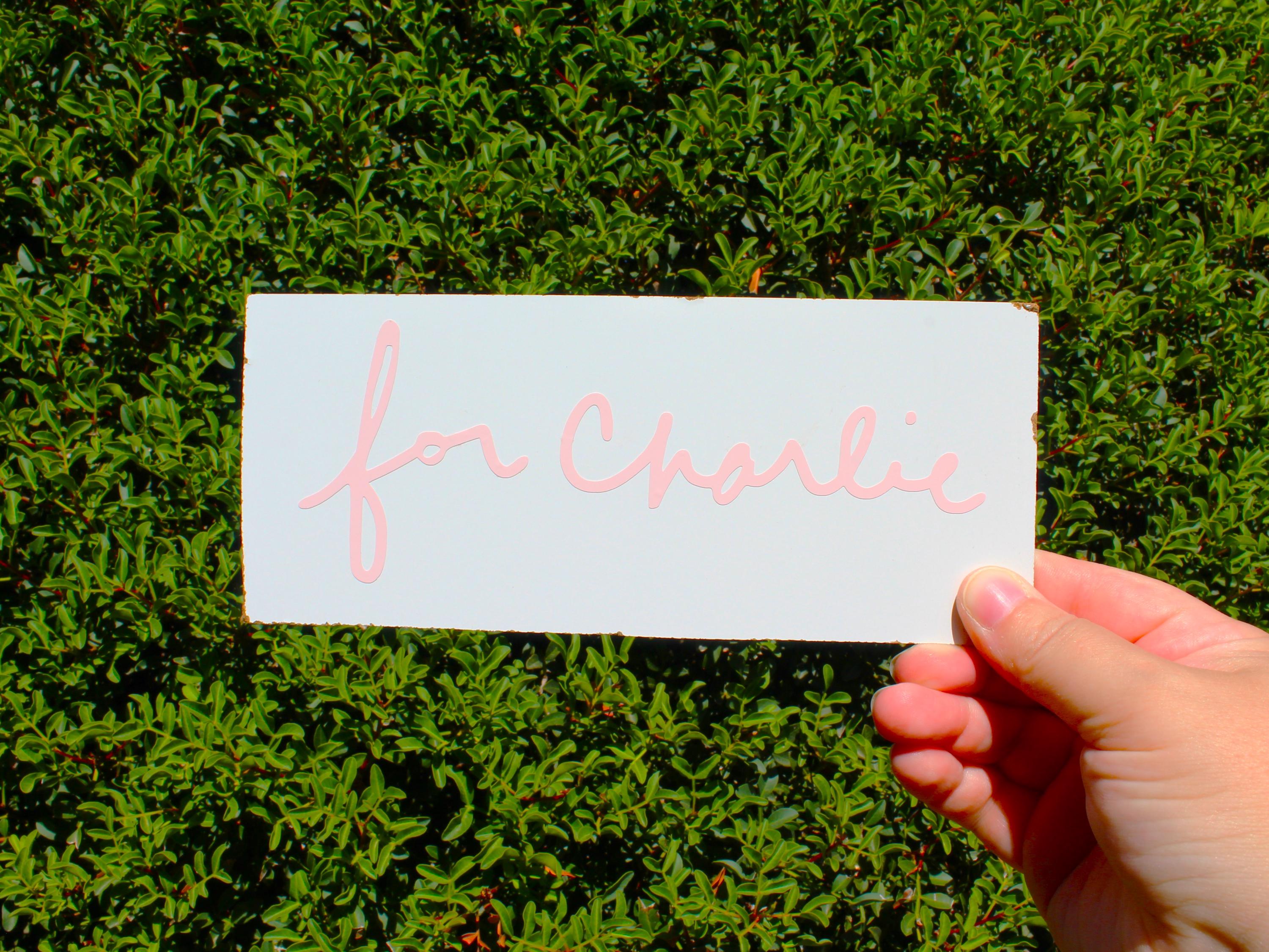 For Charlie Cursive Decal Bumper Sticker - Etsy