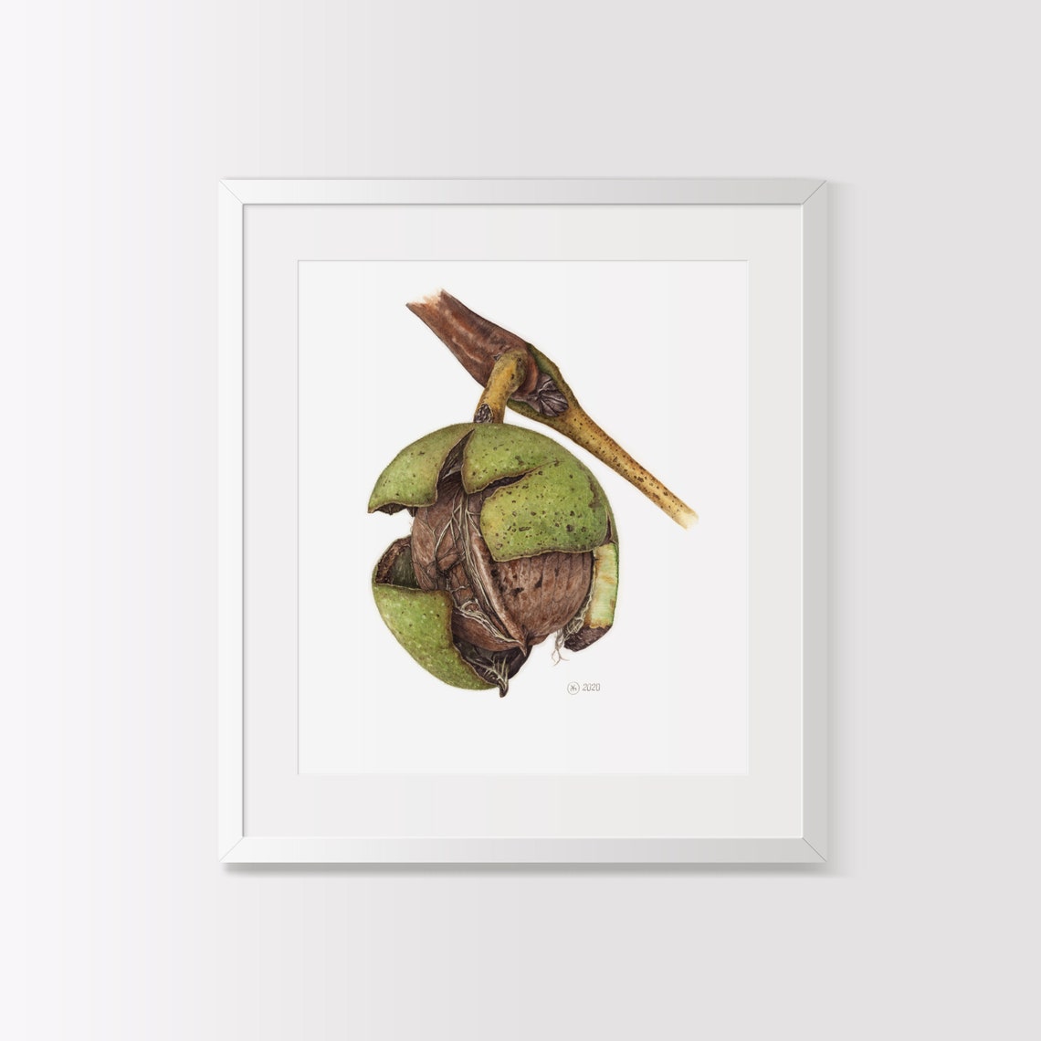 Walnut ORIGINAL watercolor painting for wall decor hyper | Etsy