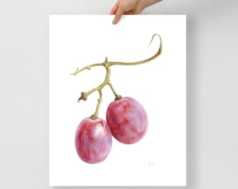 Fruit poster, Grapes print, Grapes Watercolor painting, Botanical art for kitchen wall decor