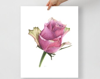 Pink rose print, flower painting, rose poster, flower wall art, pink flower poster