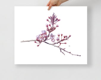 Botanical Print, Cherry Blossom Decor, Minimalist Wall Art