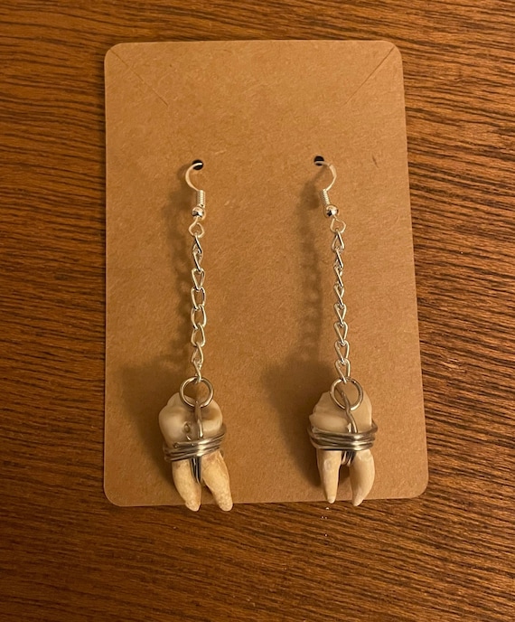 Real Human Teeth Tooth Molar Silver Wire Wrapped on Long Etsy