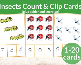 Insects Bugs Clip & Count Cards. Insects Bugs Unit Study. Preschool and Kindergarten math activity. Homeschool preschool numbers counting