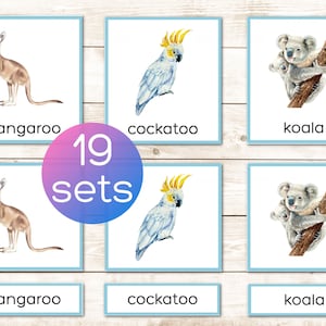 Australie, Océanie, animaux, vocabulaire Montessori à imprimer, cartes en 3 parties. Cartes de nomenclature. Activité préscolaire et maternelle. Aquarelle
