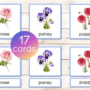Flowers Montessori printable vocabulary 3 part cards. Nomenclature cards. Zajęcia dla przedszkolaków i przedszkolaków. Ilustracje akwarelowe