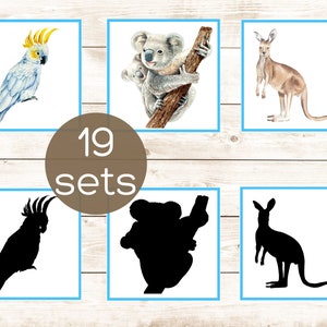 Cartões de harmonização da sombra dos animais de Austrália. Criança Montessori para imprimir. Atividade de animais pré-escolares na Austrália