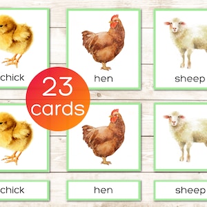 Vocabulário Montessori para impressão de animais de fazenda, cartões de 3 partes. Cartões de nomenclatura. Atividade pré-escolar e jardim de infância. Ilustrações em aquarela