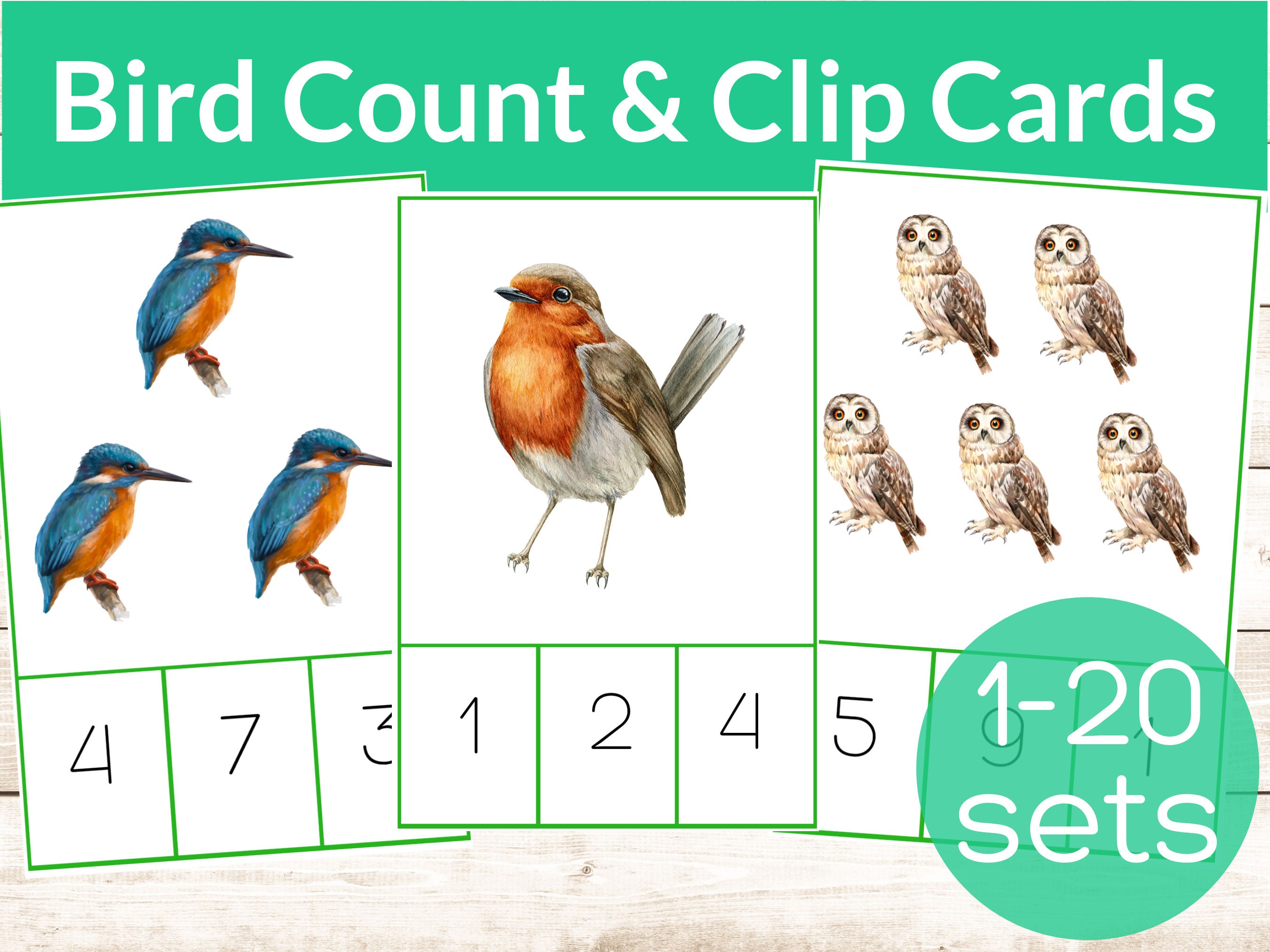 Bird Montessori Count & Clip Cards. Preschool and Kindergarten math activity. Bird and Spring Unit Study. Homeschool preschool numbers