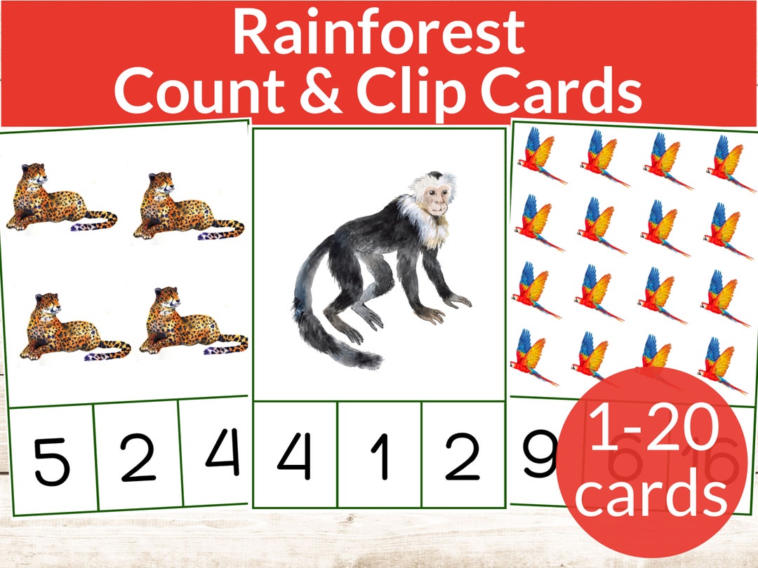 Rainforest Montessori Count & Clip Cards. Preschool and Kindergarten