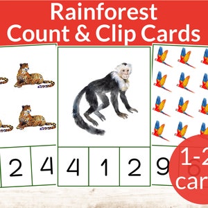 Rainforest Montessori Count & Clip Cards. Preschool and Kindergarten math activity. Rainforest Unit Study. Homeschool preschool numbers