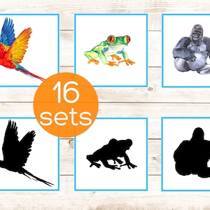 Regenwald Montessori Schatten passende Karten. Kleinkind Tieraktivität. Vorschultiere pdf