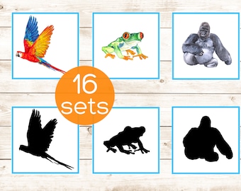 Rainforest Montessori shadow matching cards. Toddler animal activity. Preschool animals pdf