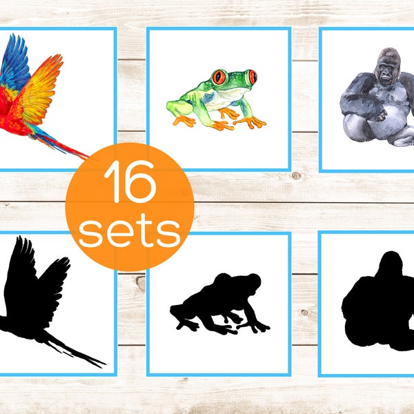 Rainforest Montessori shadow matching cards. Toddler animal activity. Preschool animals pdf