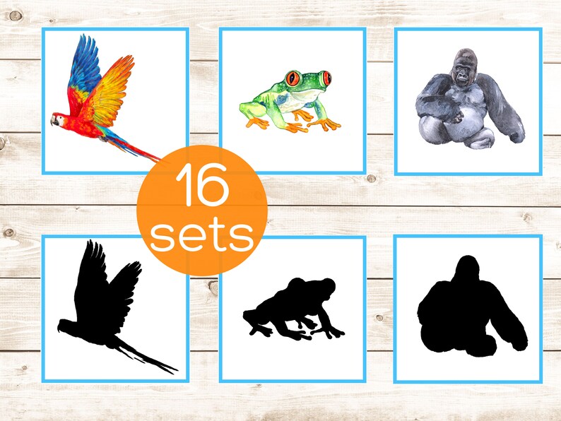 Rainforest Montessori Shadow Matching Cards. Toddler Animal Activity