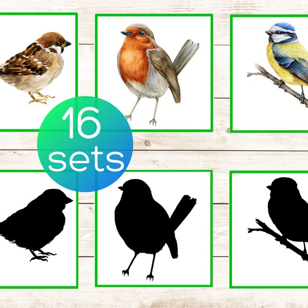 Birds shadow matching cards. Montessori toddler printable. Preschool birds activity