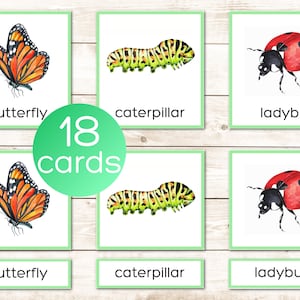 Insectes et araignées, vocabulaire Montessori à imprimer, cartes en 3 parties. Cartes de nomenclature. Activité préscolaire et maternelle. Aquarelle