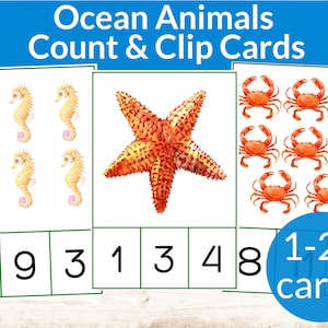May include: Educational count and clip cards featuring watercolor illustrations of ocean animals. The cards display seahorses, a starfish, and crabs, with numbers and the text "Ocean Animals Count & Clip Cards" and "1-20 cards".