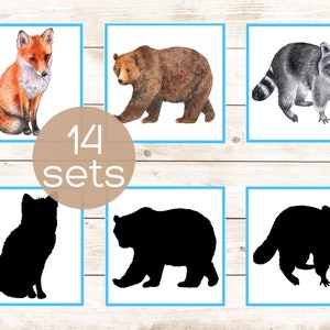 Cartes assorties d'ombre d'animaux des bois. Imprimable pour les tout-petits Montessori. Activité préscolaire sur les créatures des bois
