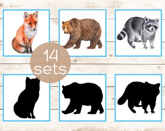 May include: Set of 14 animal flashcards featuring watercolor illustrations of a fox, bear, and raccoon, along with their black silhouette counterparts. Each card is framed in a blue border, perfect for educational use.