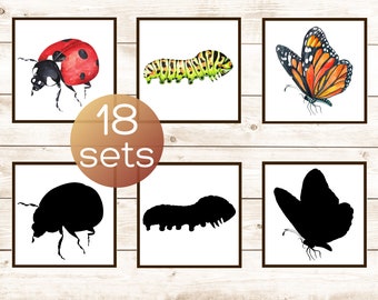 Insects bugs shadow matching cards. Montessori toddler printable. Preschool insects bugs activity