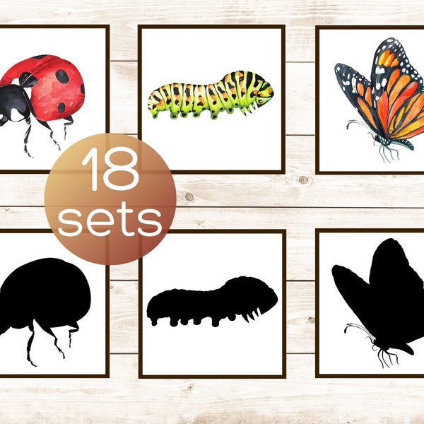 Insects bugs shadow matching cards. Montessori toddler printable. Preschool insects bugs activity