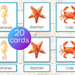 Animaux de l'océan Vocabulaire Montessori imprimable Cartes en 3 parties Cartes de nomenclature. Activité préscolaire et maternelle. Illustrations à l'aquarelle