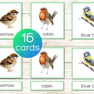 Vögel Montessori druckbare Vokabelkarten 3-teilig. Nomenklaturkarten. Vorschul- und Kindergartenaktivität. Aquarell Illustrationen