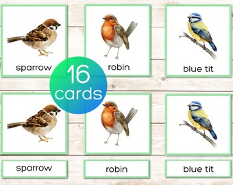 Birds Montessori printable vocabulary 3 part cards. Nomenclature cards. Preschool and kindergarten activity. Watercolor illustrations