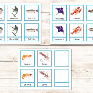 Ocean Animals Montessori Printable Vocabulary 3 Part Cards Nomenclature ...