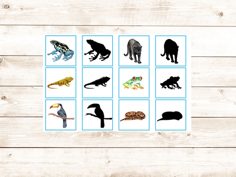 Rainforest Montessori Shadow Matching Cards. Toddler Animal Activity