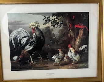 Vintage Jacob Bogdany Poultry Print: Rooster, Hens, Exotic Birds, Gold Frame