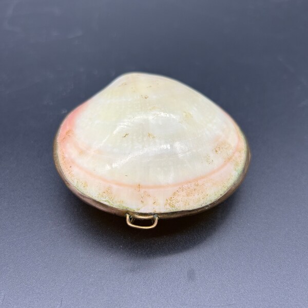 Vintage Mid Century Hinged Clam Shell Shaped Trinket Box / Jewelry Bow /Pill Box