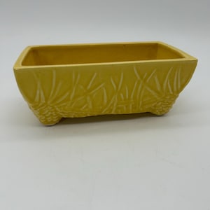May include: A yellow ceramic planter with a rectangular shape and a pine cone design. The planter has four small feet.