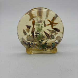 Vintage Sea Shells Lucite Napkin Holder. One small chip