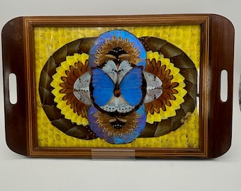 Antique 1930s Butterfly Wing Tray: Encased Real Butterfly Wings
