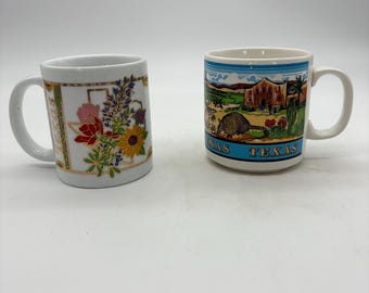 Vintage Texas Souvenir Coffee Mug Set Floral State Mug & Texas Landmark Mug Ceramic Pair 1980s 1990s