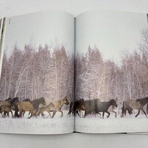 Puede incluir: Fotograf&iacute;a de una manada de caballos movi&eacute;ndose por un paisaje nevado. Los caballos son de varios tonos de marr&oacute;n y beige, con un tel&oacute;n de fondo de &aacute;rboles cubiertos de nieve. La imagen es de un libro.