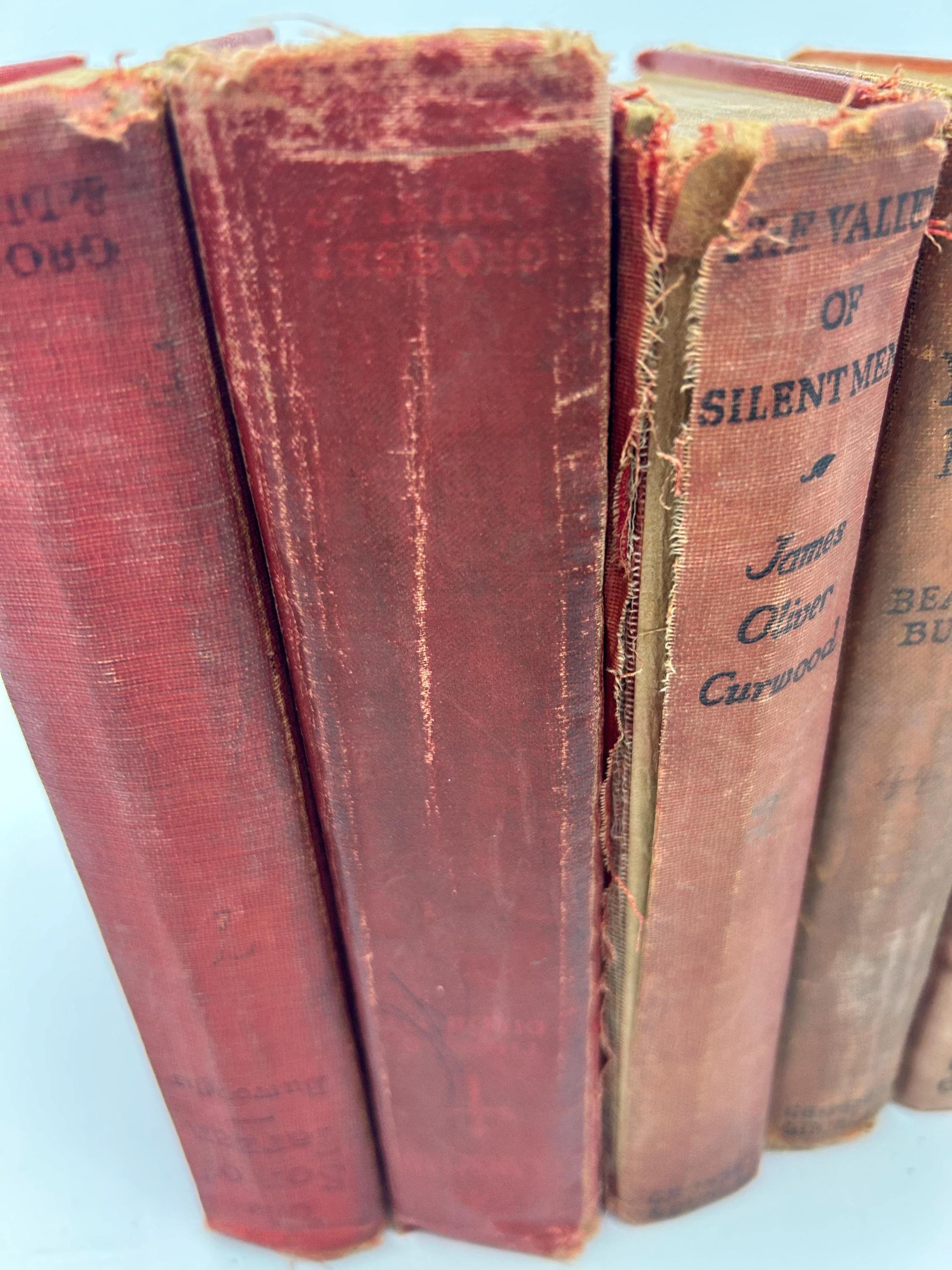 Vintage Books/50cm Set 【RED】洋書　古書　アンティーク Vintage Books/50cm Set 【RED】洋書 古書 アンティーク