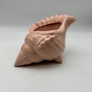 May include: A light pink ceramic seashell planter with a textured surface. The planter has a wide opening and is supported by three small feet. The seashell design features detailed ridges and a ruffled edge.
