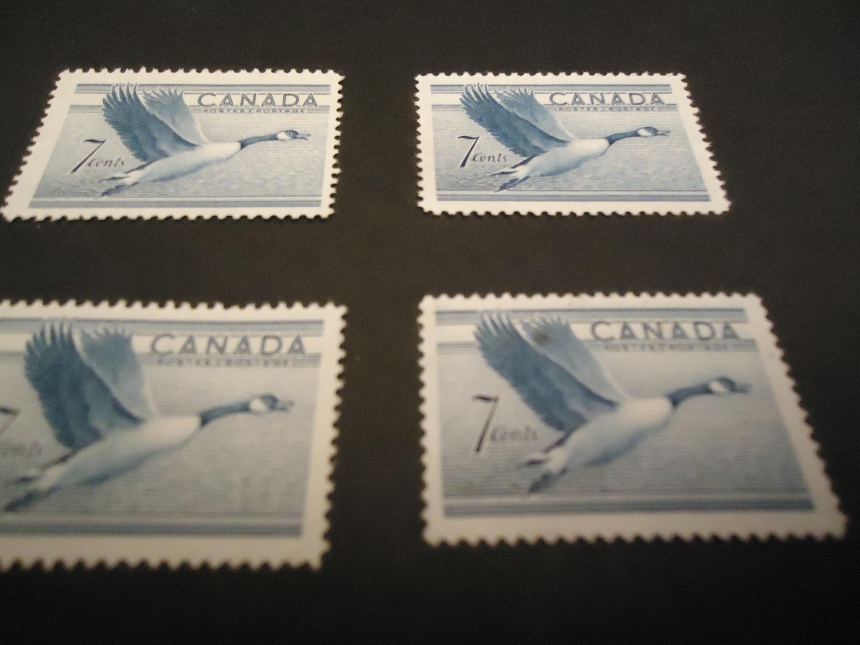 カナダのミント切手12枚、1952年のカナダグース切手7セント - Etsy 日本