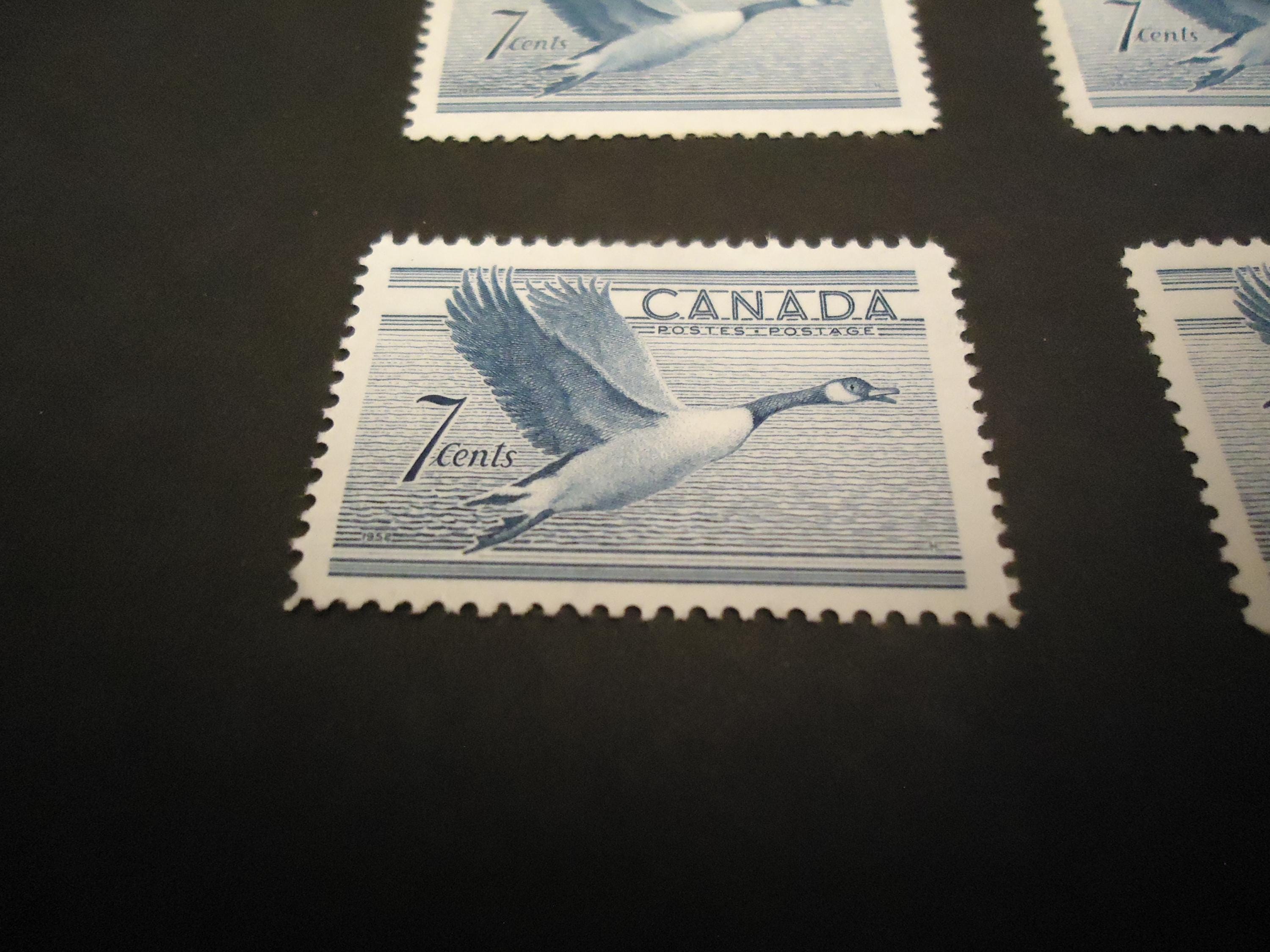 カナダのミント切手12枚、1952年のカナダグース切手7セント - Etsy 日本