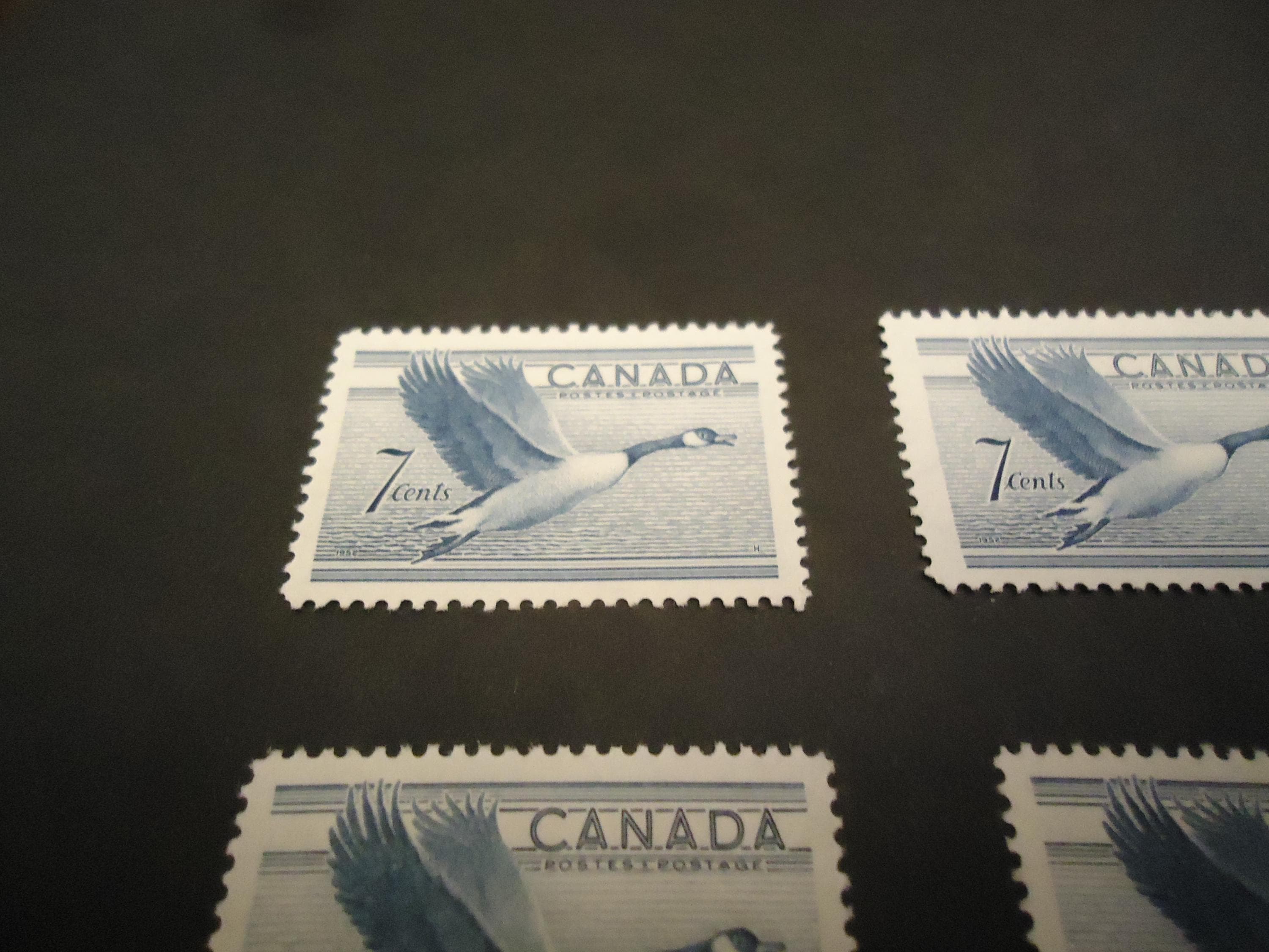カナダのミント切手12枚、1952年のカナダグース切手7セント - Etsy 日本