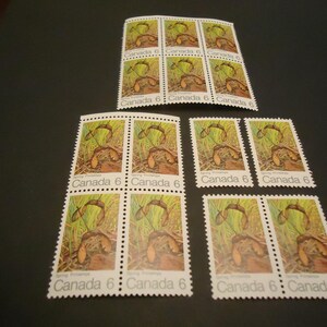 12 Wunderschöne kanadische Ahornblatt-Briefmarken 6-Cent-Frühling von 1971