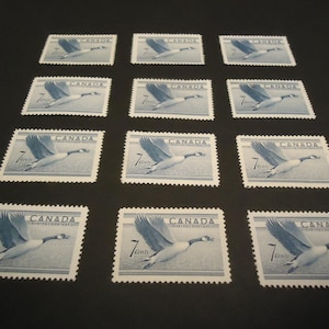 12 sellos postales canadienses sin usar, sellos de 7 centavos de Canada Goose de 1952