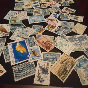 Colección usada de 60 sellos postales de aves, de Canadá y de todo el mundo.