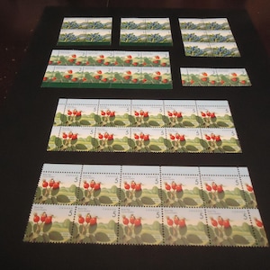 44 diverse ongebruikte Canadese postzegels uit 1991-1998 met afbeeldingen van eetbaar fruit, in de waarden 1, 2 en 5 cent.