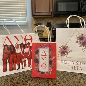 Delta Gift Bag Set (3)