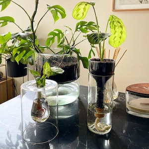 Vase with self-watering system